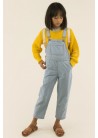 Striped Denim Dungaree