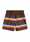 Stripe Swim Shorts