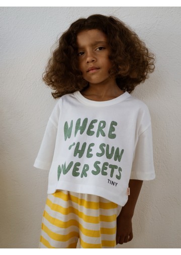 The Sun Graphic Crop Tee