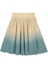 Ombre Skirt