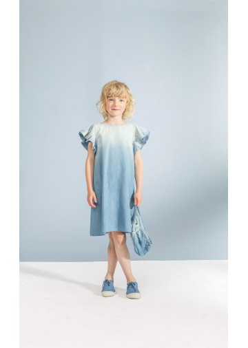 Ruffle Denim Dress